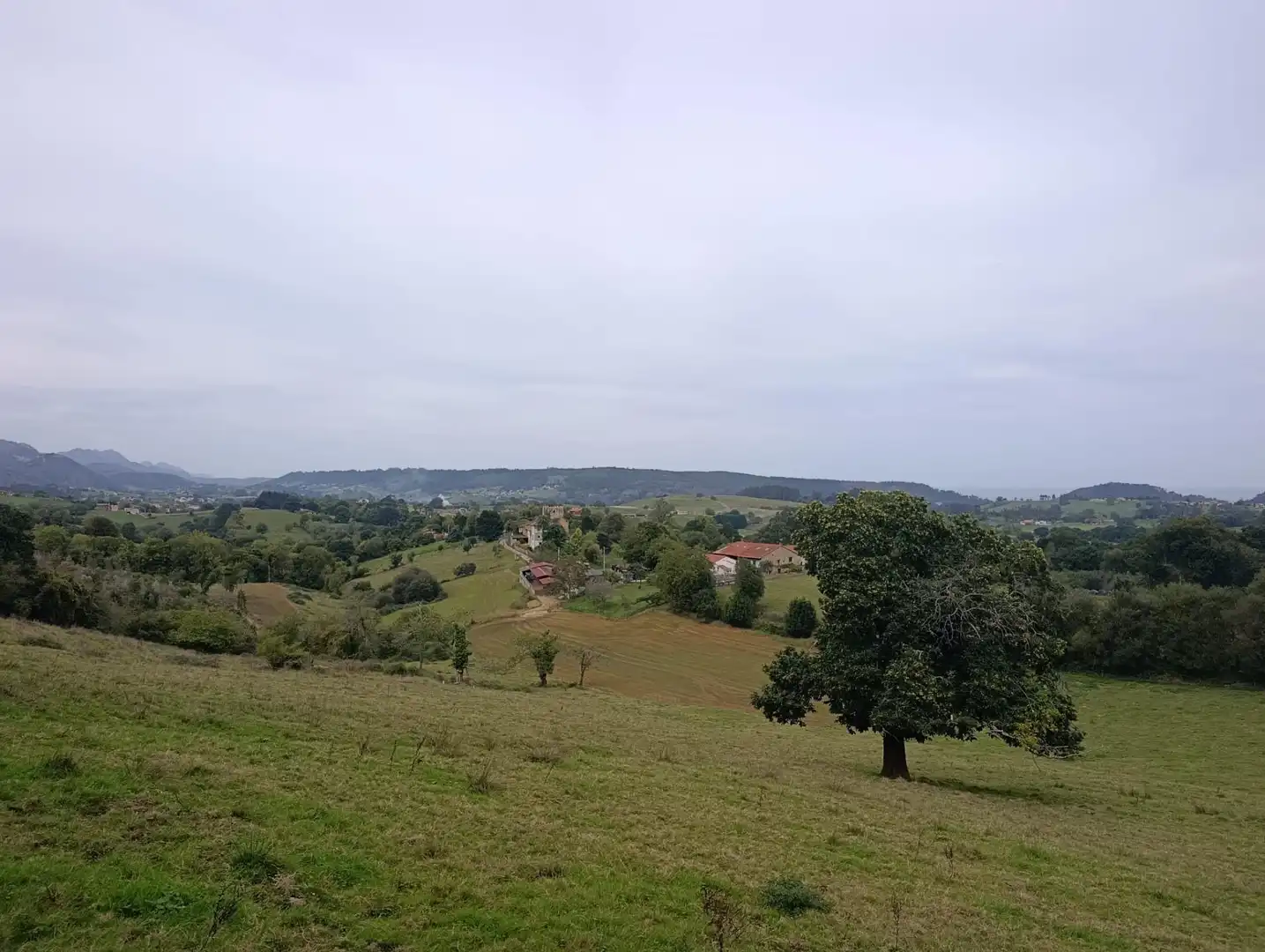 Rustikales Grundstück zum Verkauf in Carretera Piñera (Noriega) 0, imagen 40