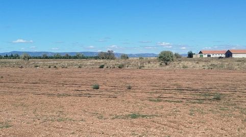 SE VENDE FINCA RÚSTICA CON GRANJA DE 10 HAS EN DAIMIEL, immagine 5