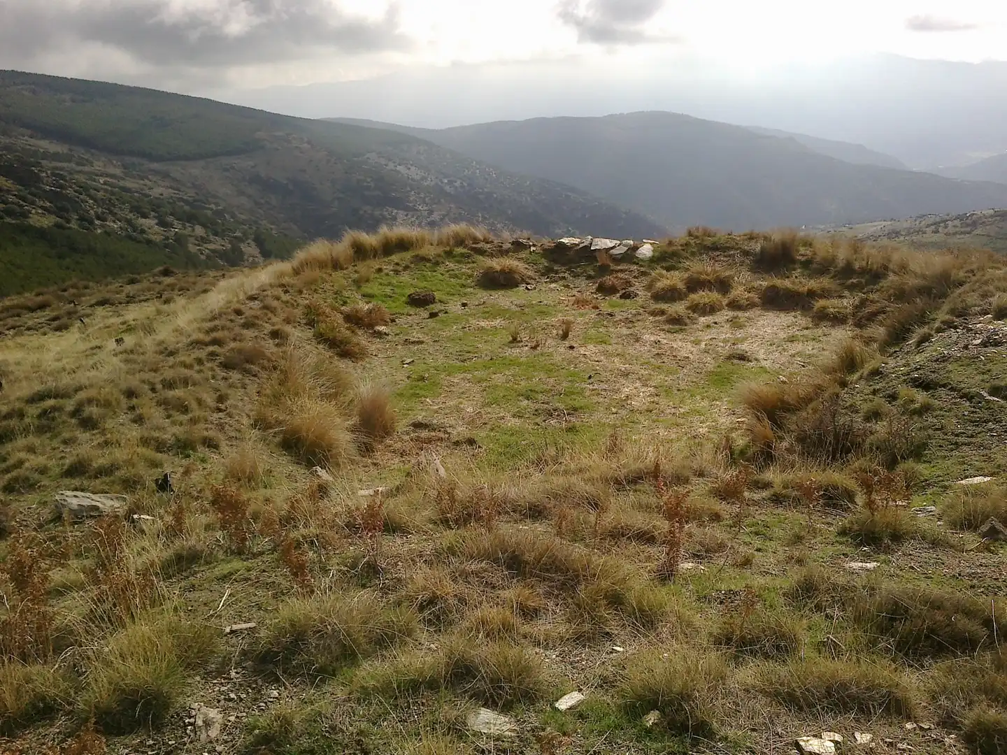 Rural land for sale in Laujar de Andarax, imagen 4