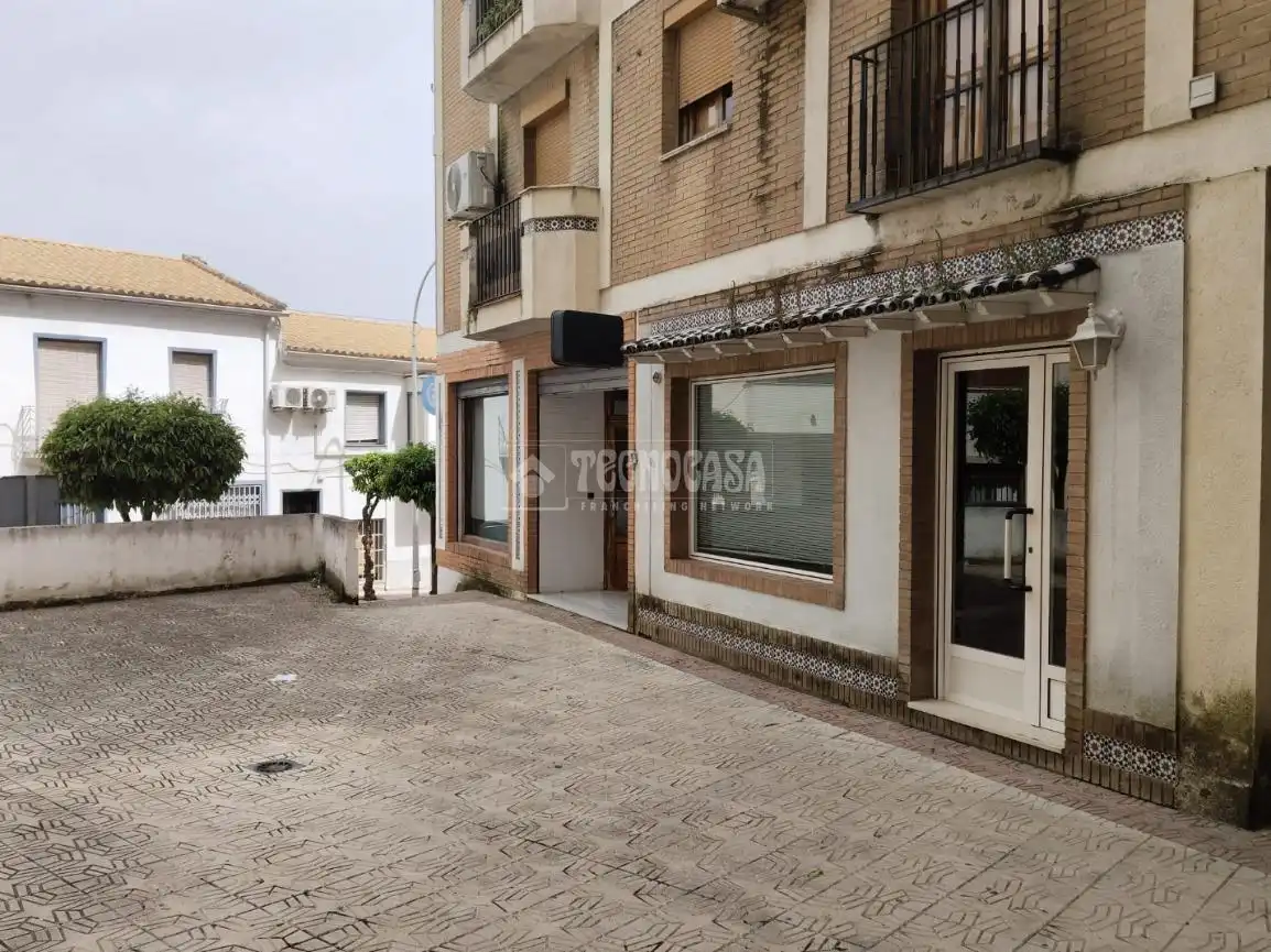 Exterior view of Commercial properties for sale in Mengíbar