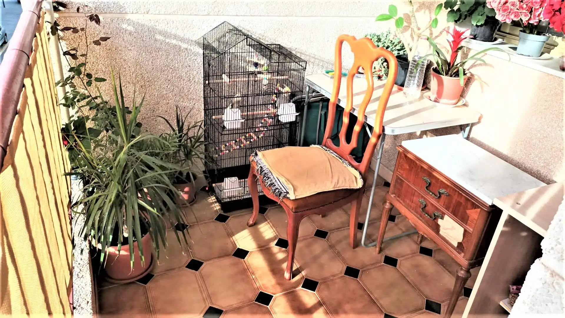 Balcony of Flat for sale in Carboneras