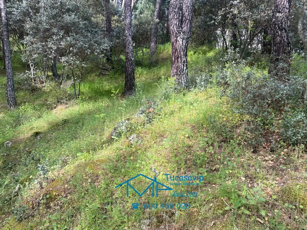 Terreni e lotti in vendita a Cebreros, imagen 10