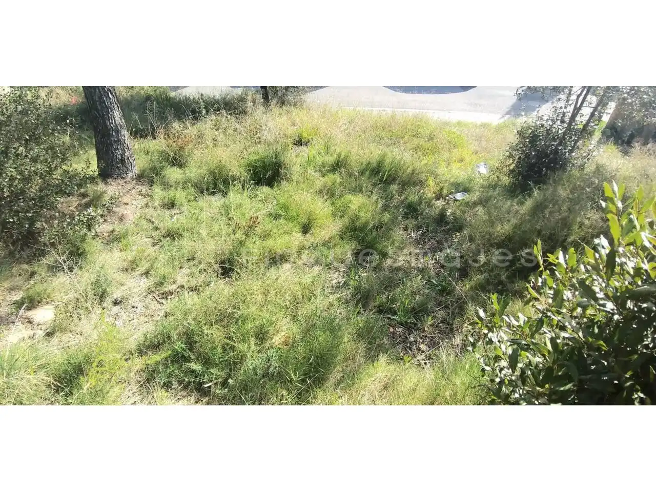 Terreno residencial en venta en Vacarisses, imagen 11