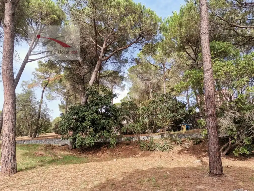 Maison avec piscine à vendre à Condado del Jaruco - Puigventós, imagen 46