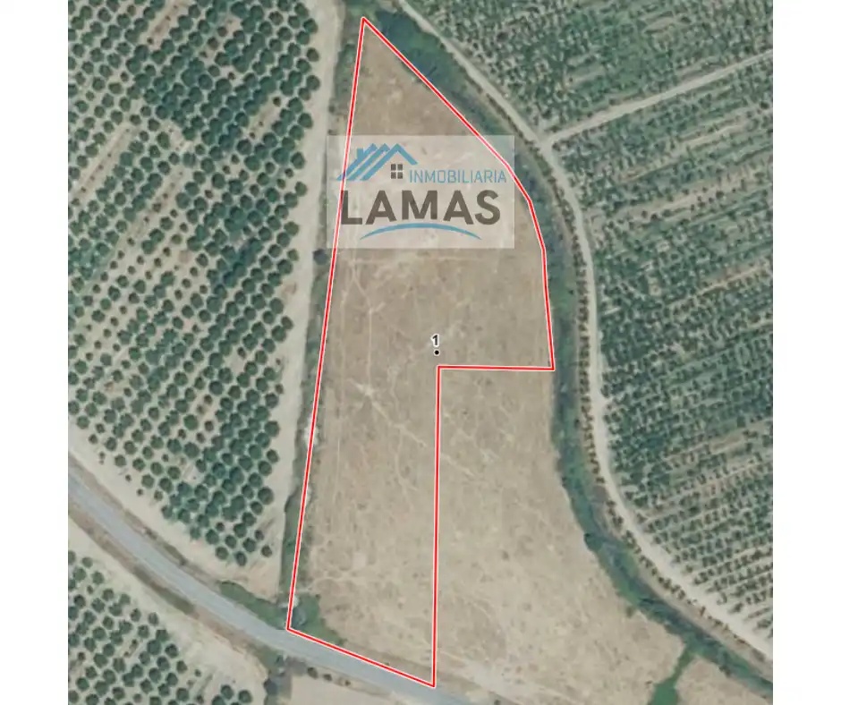 Land for sale in Belvís de Monroy