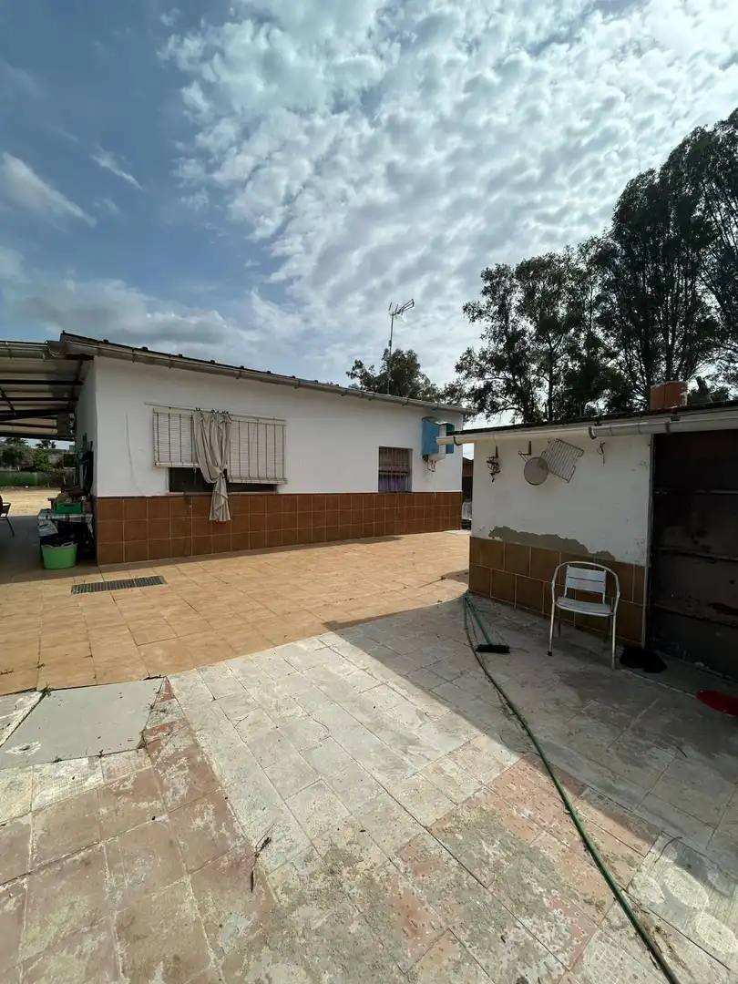 Vista exterior de Finca rústica en venta en Utrera