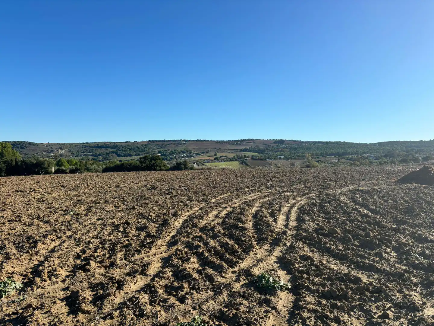 Terreny en venda en Arcos de la Frontera