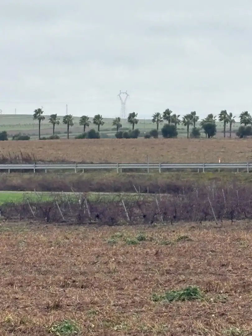 Terreno rustico in vendita a La Orden, imagen 15