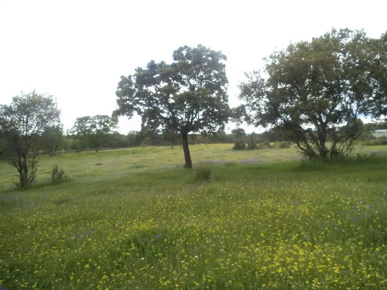 Residencial en venda en Valdemorillo