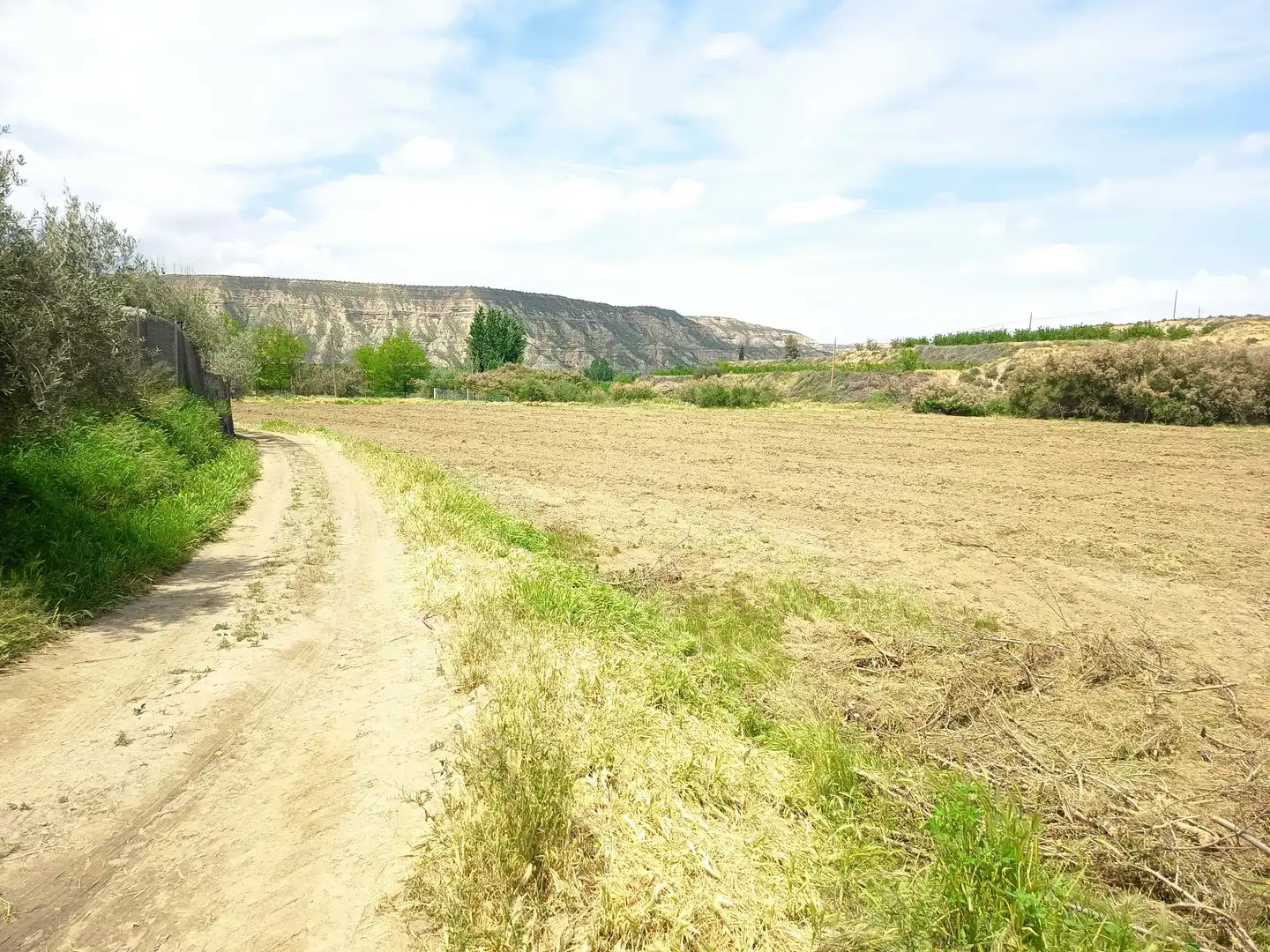 Terreno en venta en Fonelas