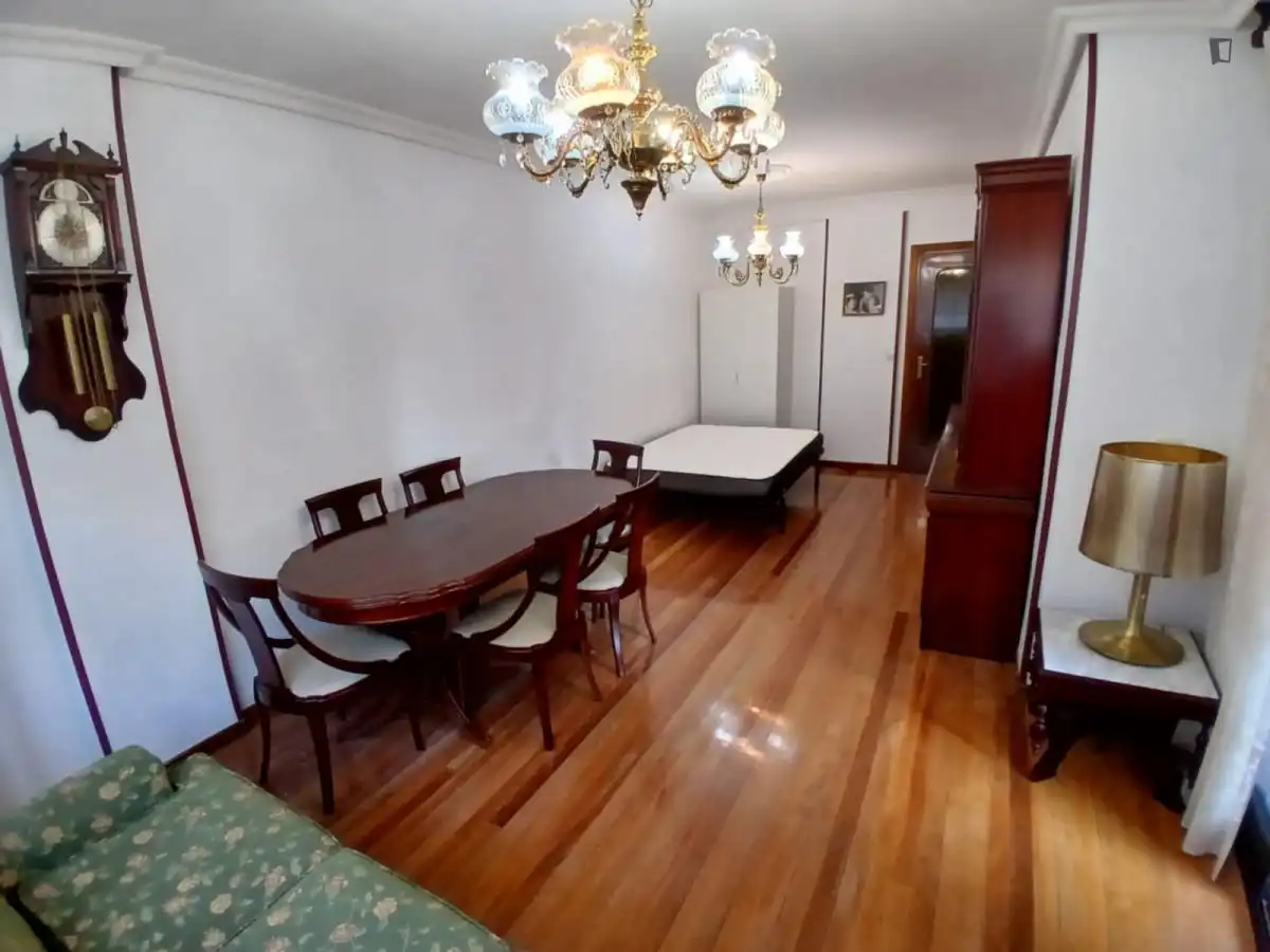 Menjador de Apartament per a compartir en Valladolid amb Moblat, Forn i Rentadora