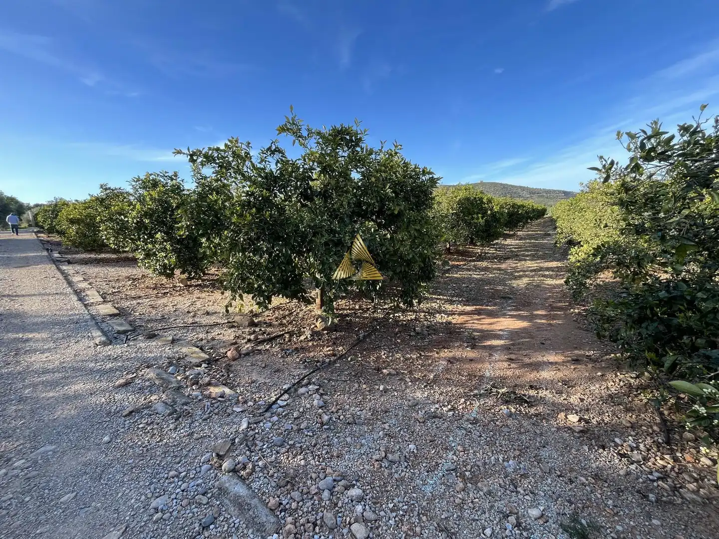 Terrenos y solares en venta en Pueblo, imagen 10