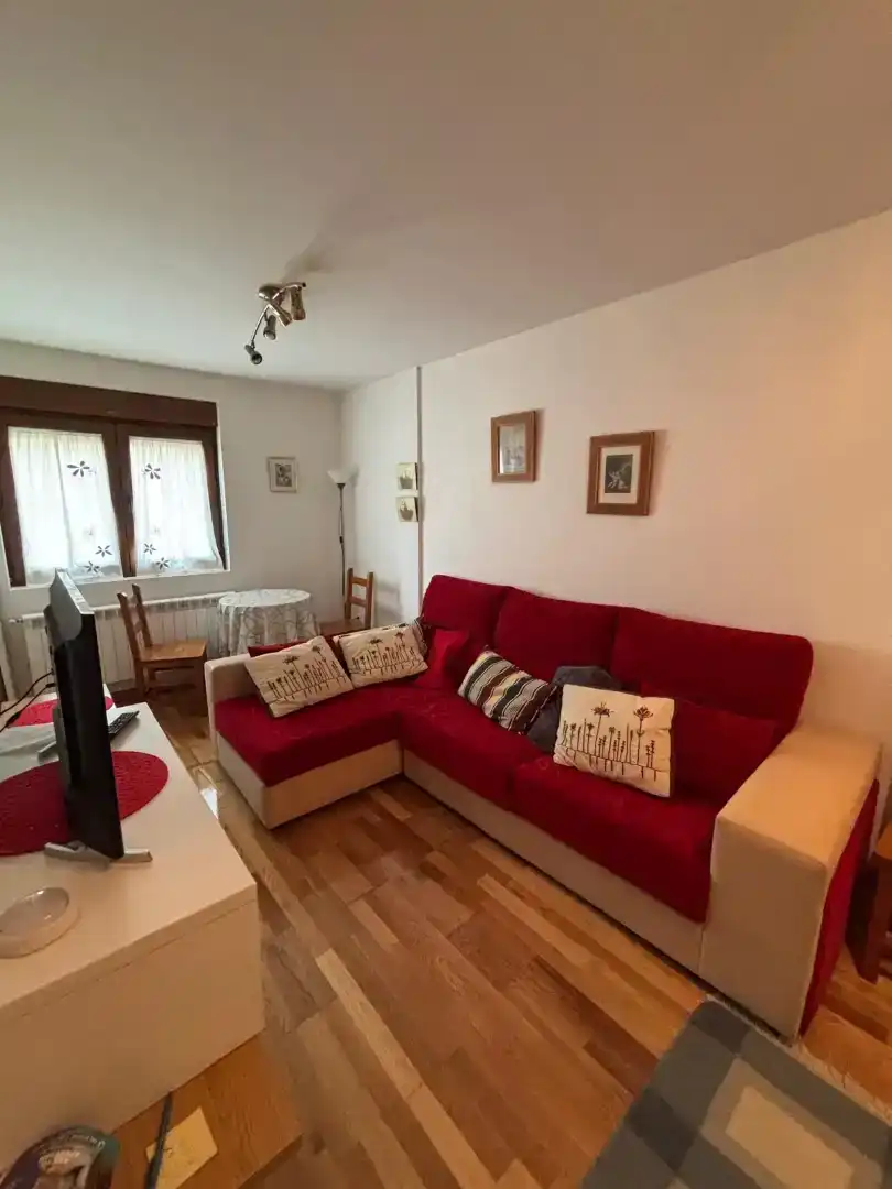 Sala d'estar de Pis de lloguer en Camaleño amb Jardí privat, Parquet i Moblat