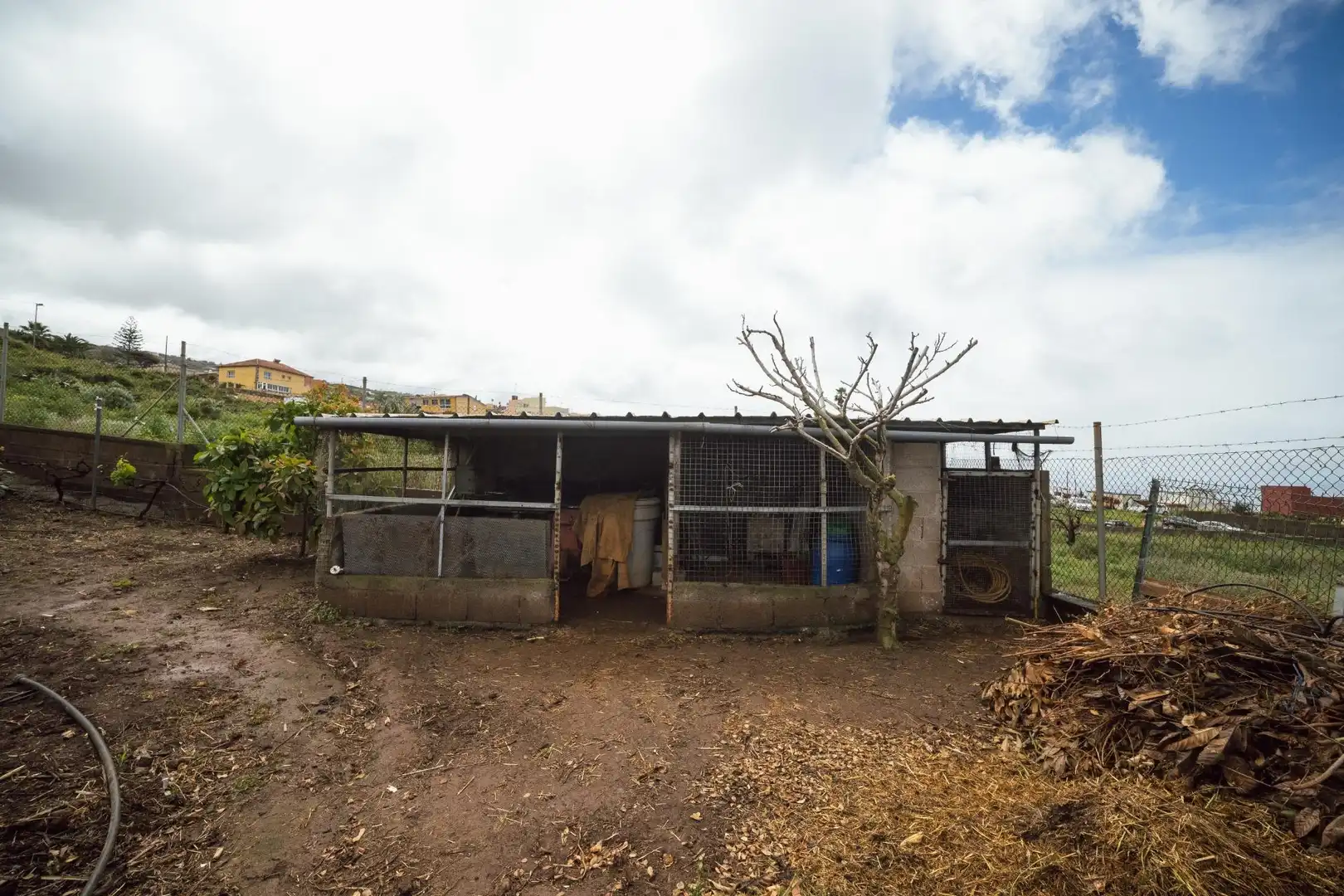 Vista exterior de Finca rústica en venta en El Sauzal