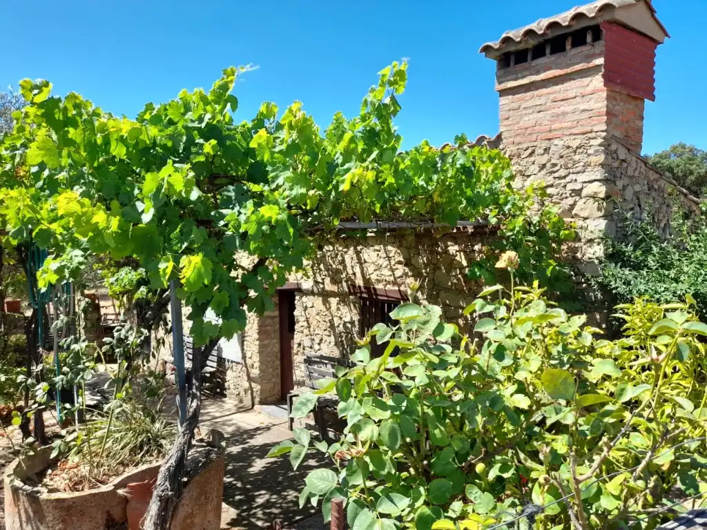 Garden of Houses for sale in San Vicente de Alcántara