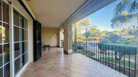 Foto 2 de Apartament de lloguer a Calvià pueblo, Calvià