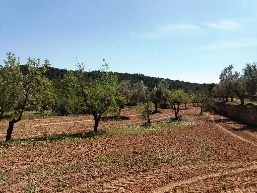 Terreni e lotti in vendita a Cretas