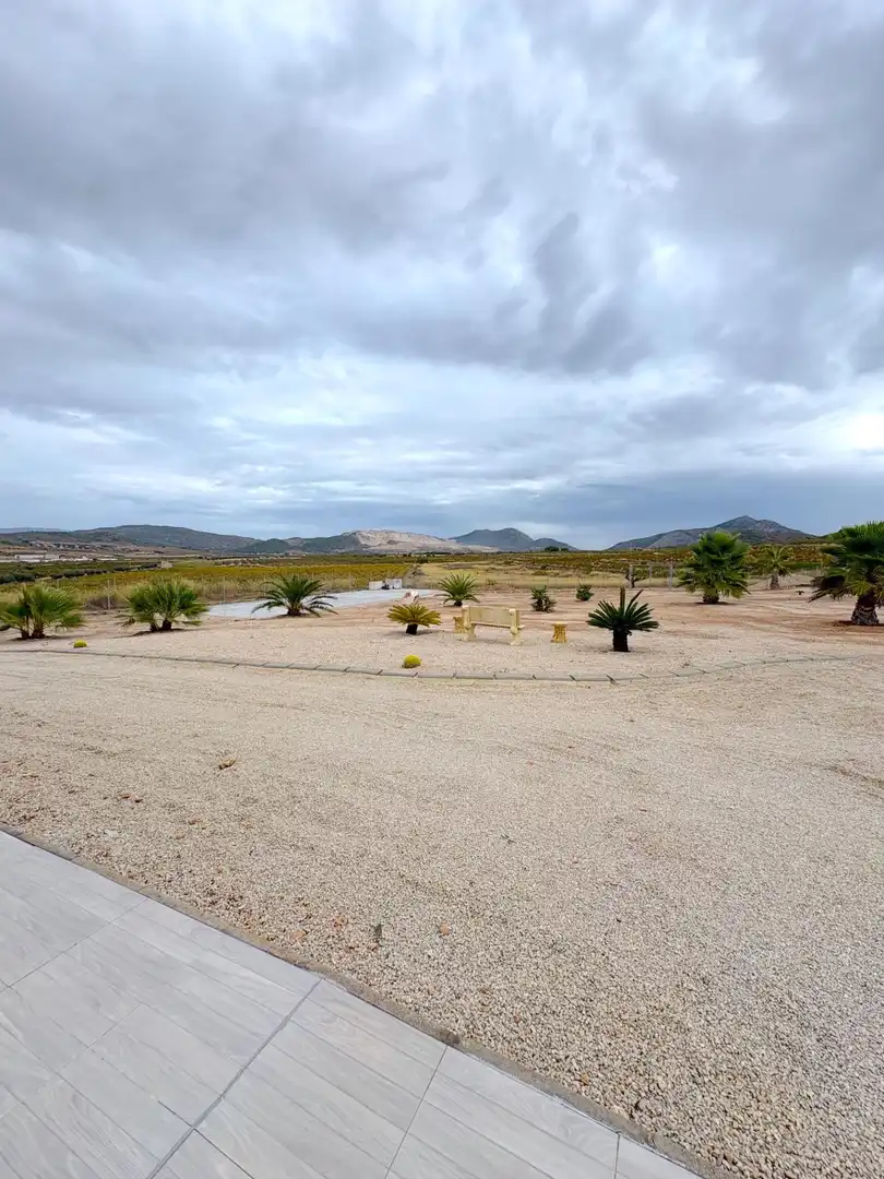 Villa avec piscine à vendre à El Altico, imagen 46