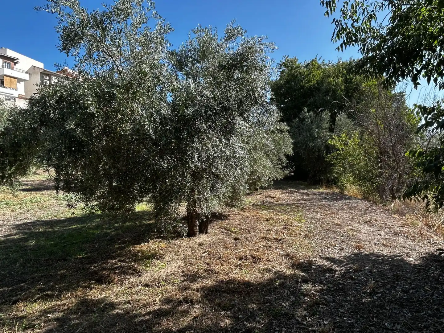 Terreni e lotti in vendita a Calicasas, imagen 10