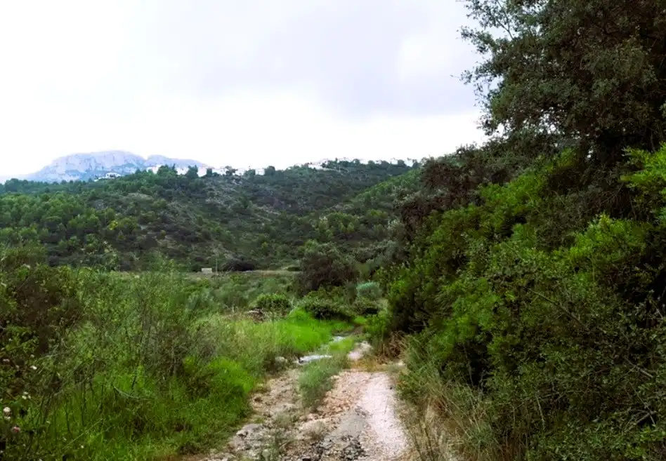 Terreny rústic en venda a Avenida Monte Pego-Dénia, imagen 2