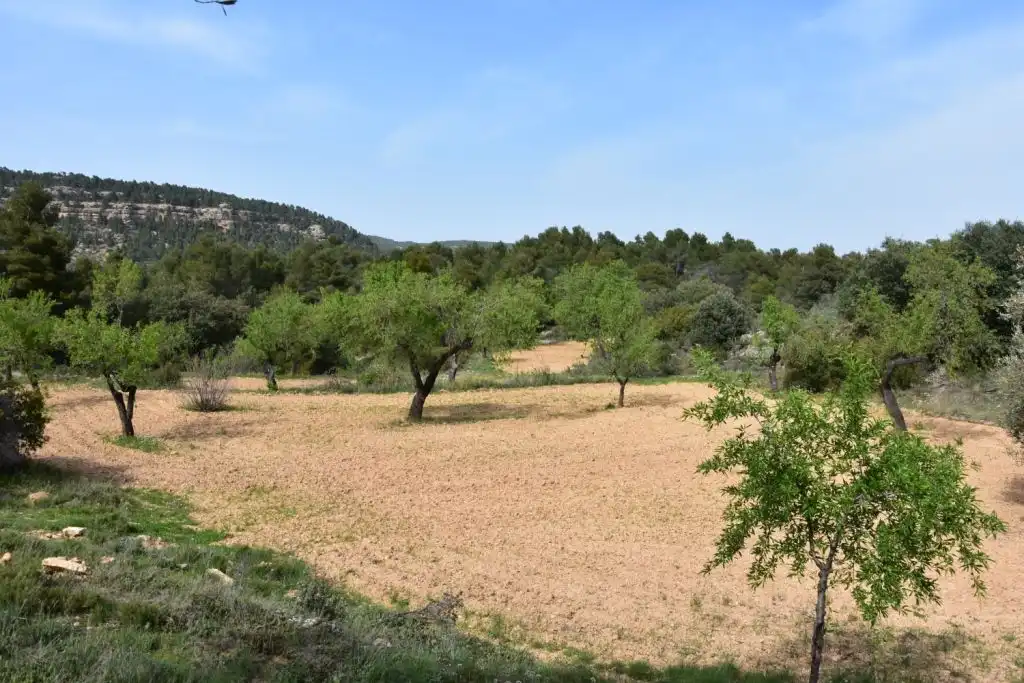Country homes for sale in Ráfales