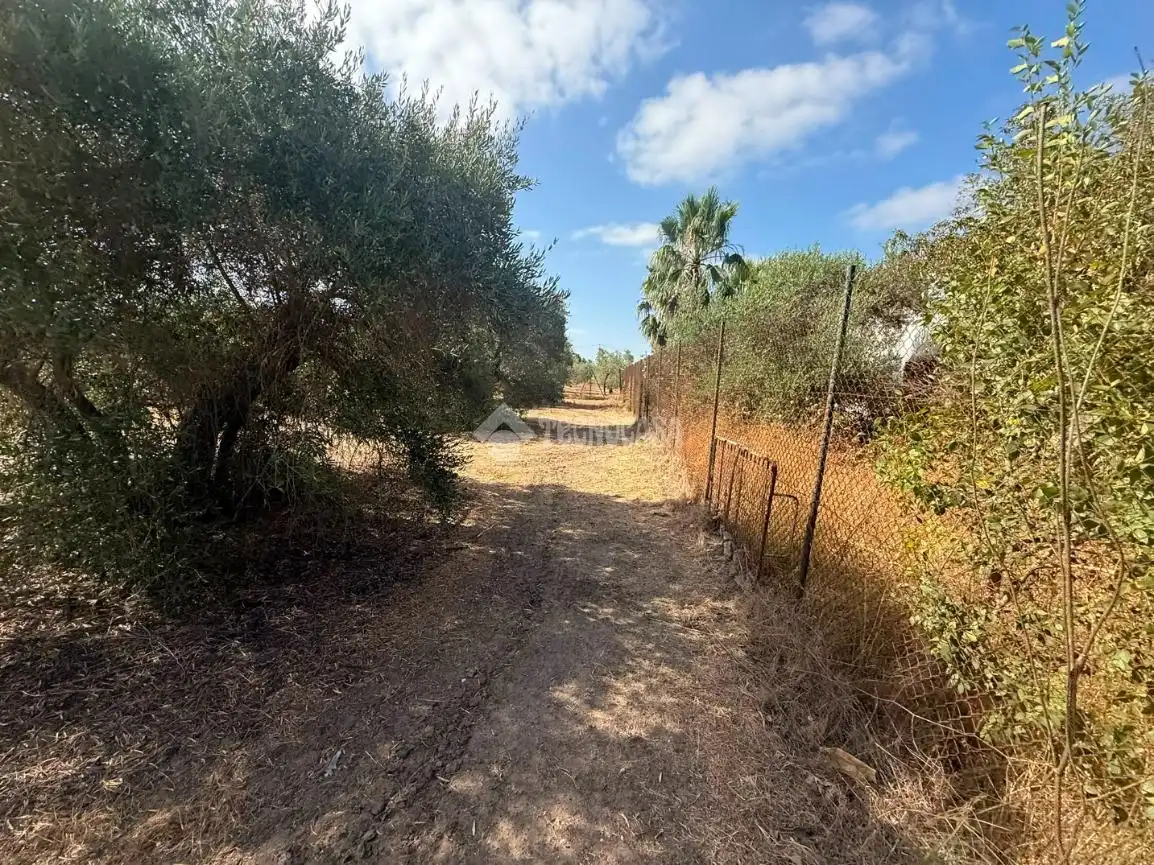 Finca rústica en venda en Arahal amb Piscina