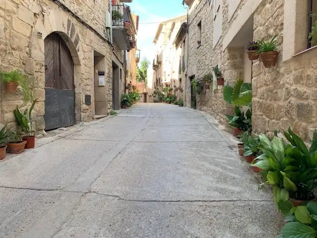 Vista exterior de Piso en venta en Vinaixa con Aire acondicionado, Calefacción y Amueblado