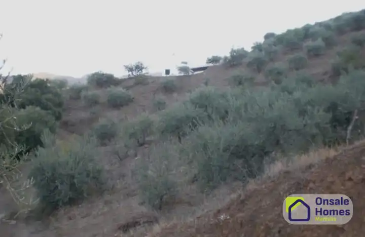 Terreno rustico in vendita a Monda, imagen 7