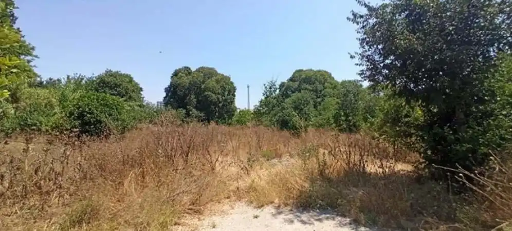 Land for sale in Murcia