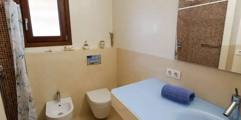 Bany de Casa o xalet en venda en Formentera amb Aire condicionat, Jardí privat i Terrassa