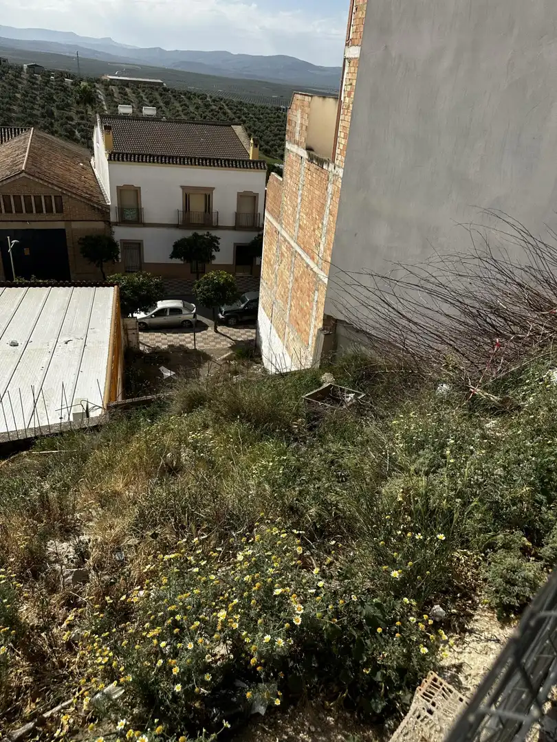 Terrenos y solares en venta en Espejo, imagen 4