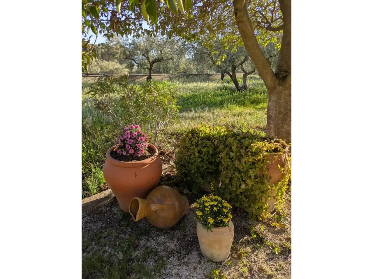 Villa con piscina in vendita a Onil, imagen 32