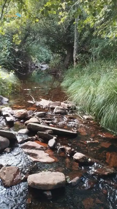 Habitatge en venda a La Codosera