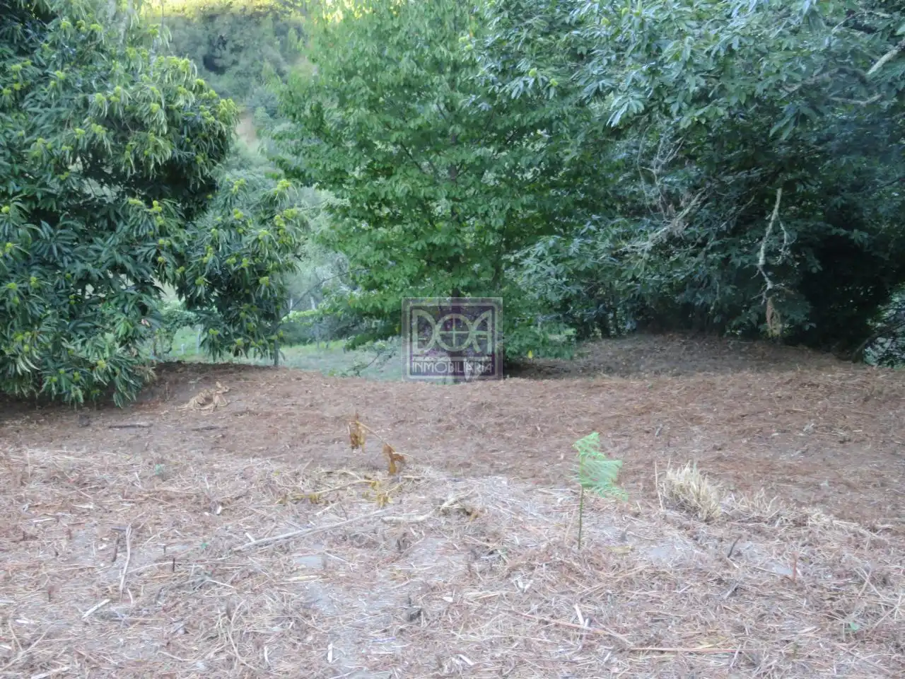 Casa rústica amb jardí en venda a Mondariz, imagen 15