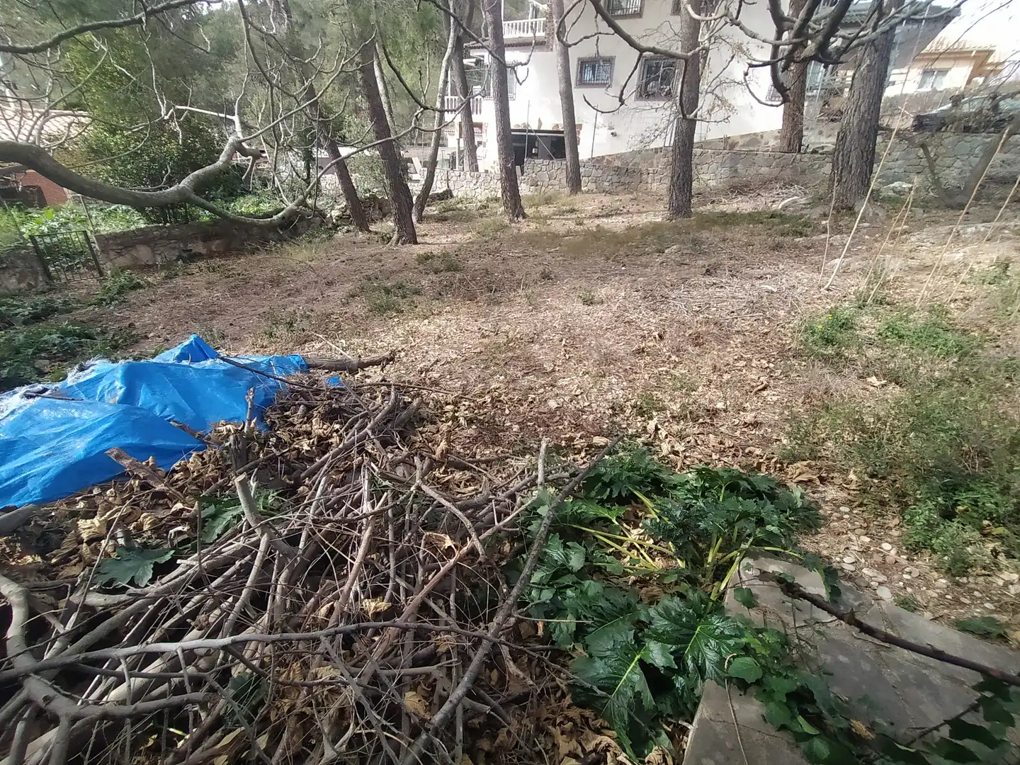 Terreny residencial en venda a Camí de la Creu de l'Aragall 1, imagen 4