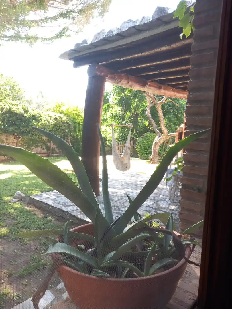 Jardí de Casa o xalet de lloguer en Órgiva amb Terrassa