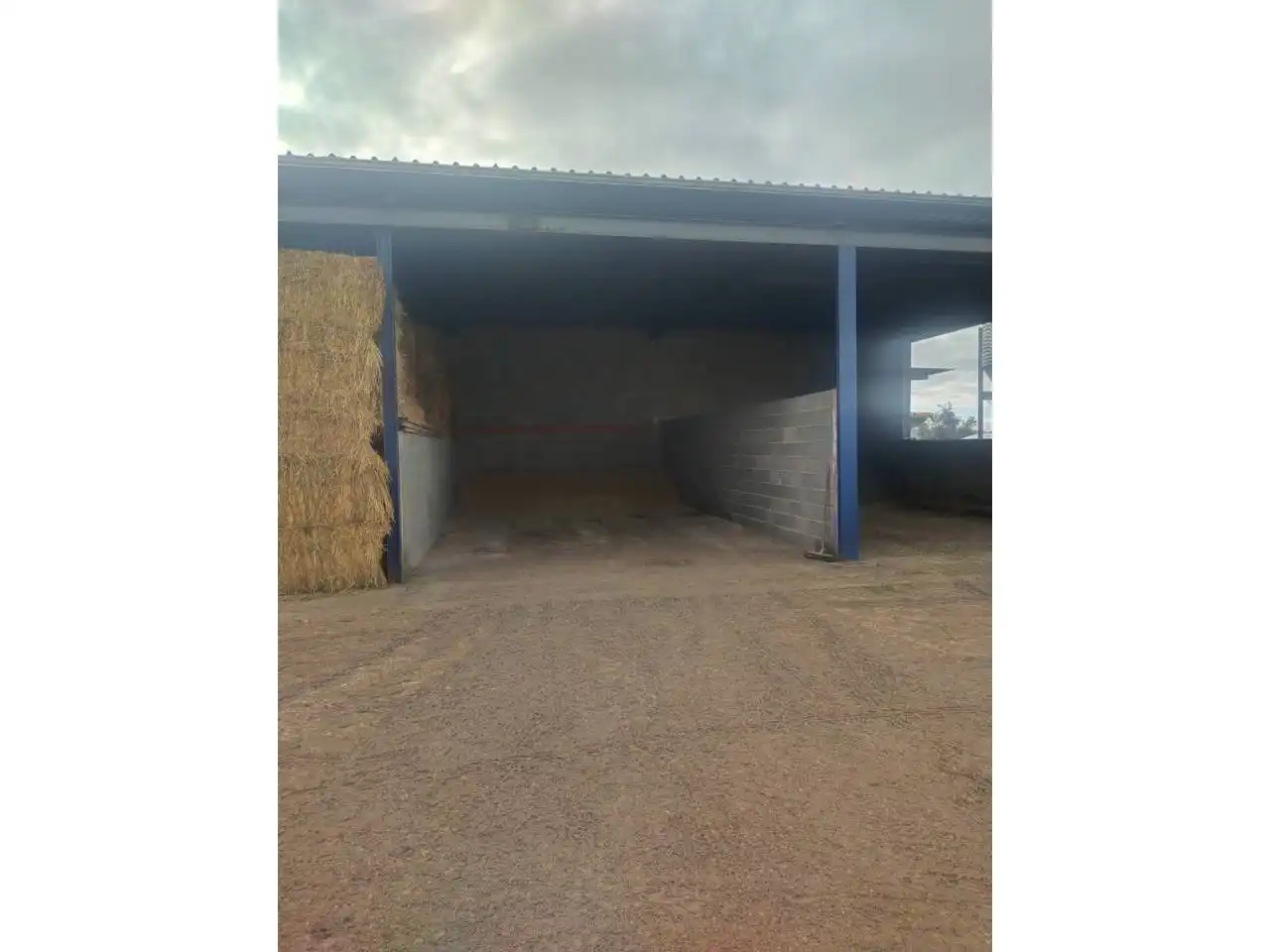 Vista exterior de Terreny en venda en Daimiel