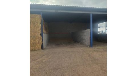 Finca rustica en venta en Daimiel, imagen 5