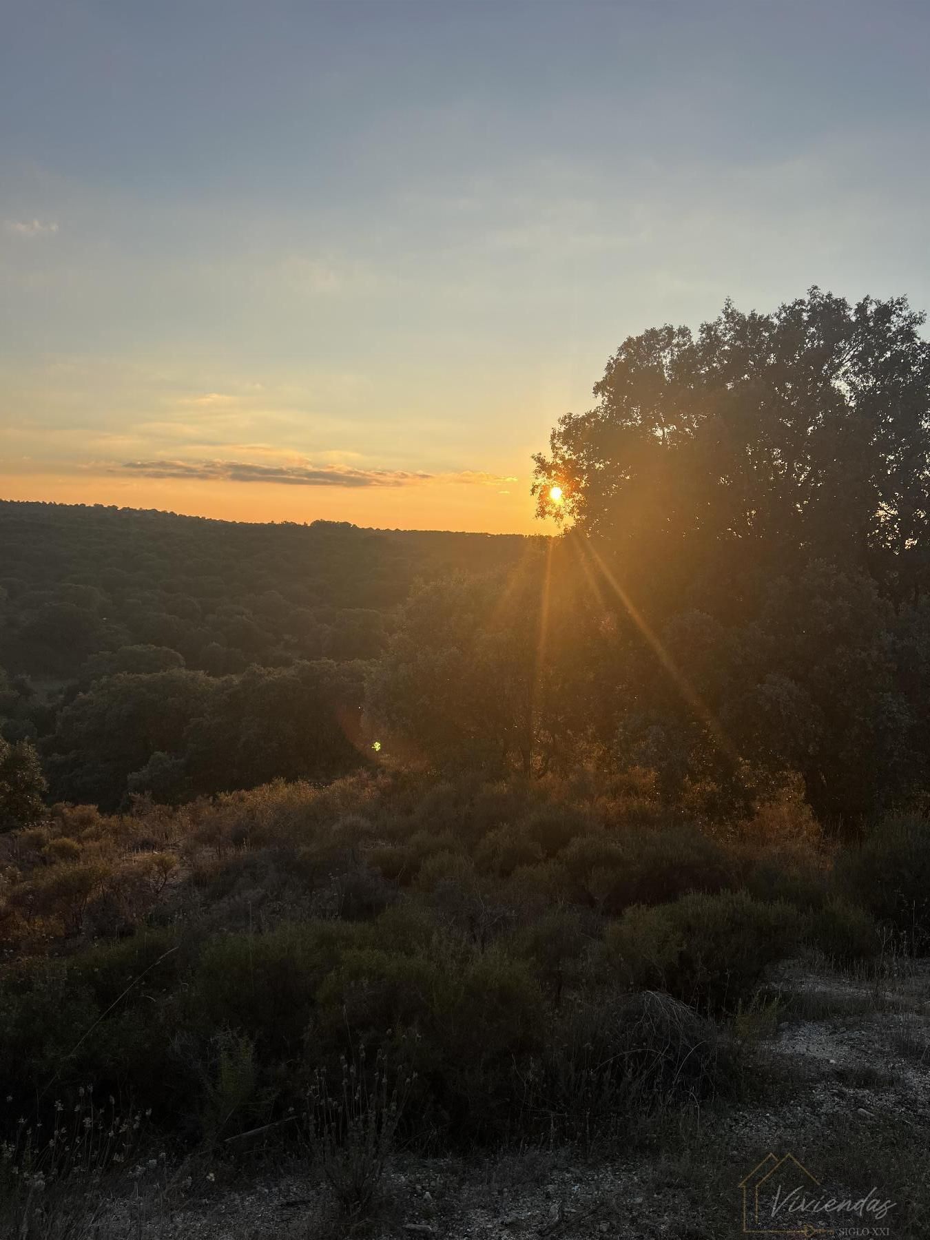 Vista exterior de Finca rústica en venda en Brunete