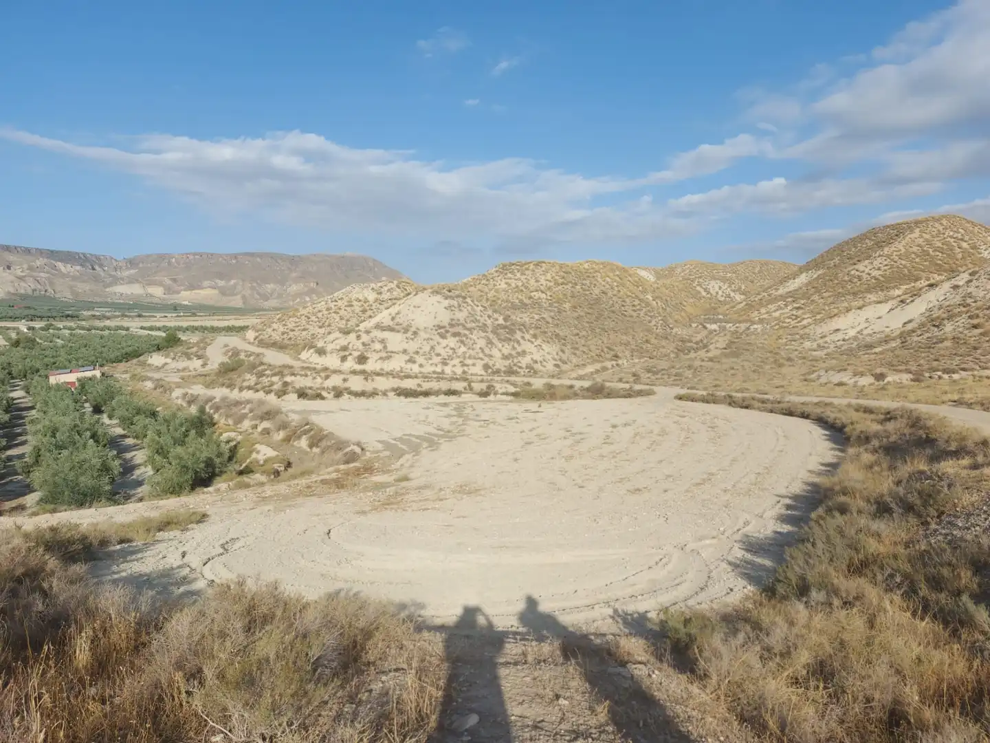 Terreno en venta en Alicún de Ortega