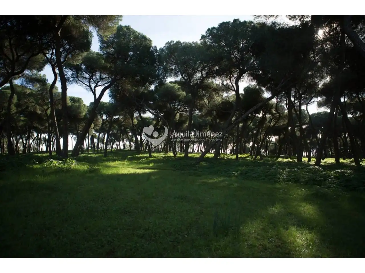 Terreni e lotti in vendita a Oromana, imagen 7