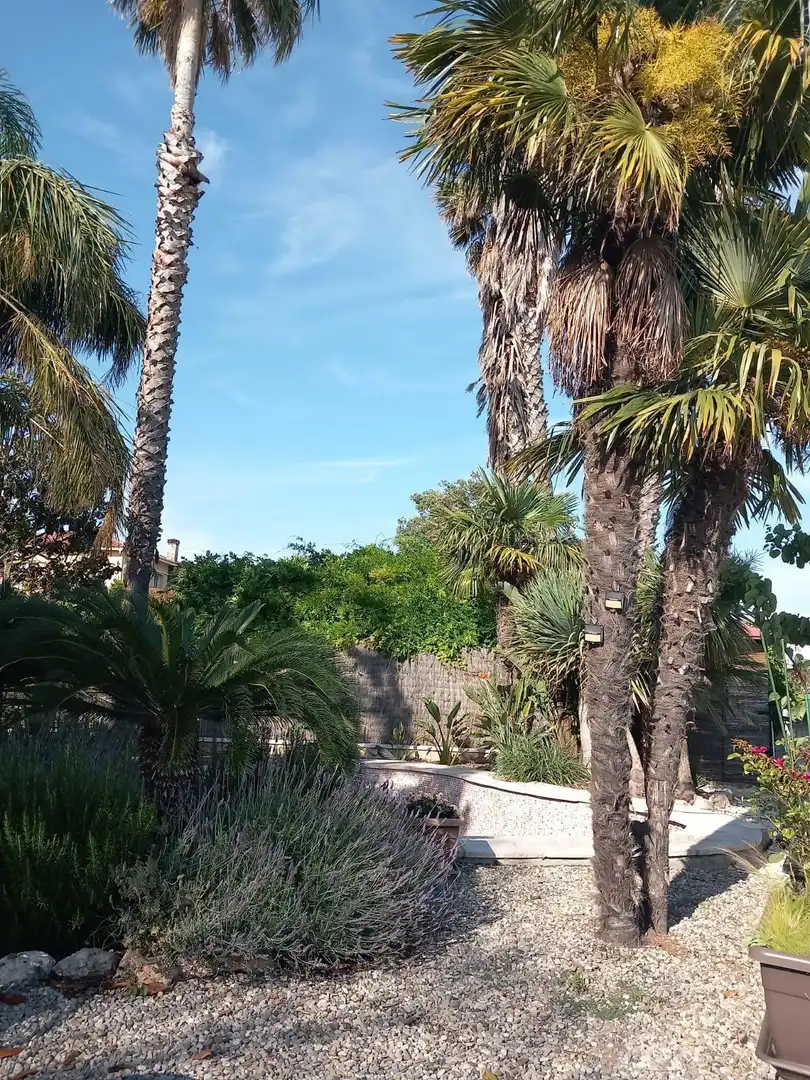 Haus mit Terrasse zur Miete in Pacs del Penedès, imagen 67