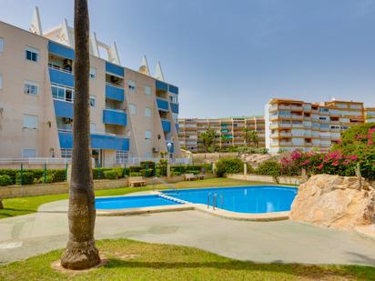 Swimming pool of Apartment for sale in Torrevieja  with Terrace, Swimming Pool and Balcony