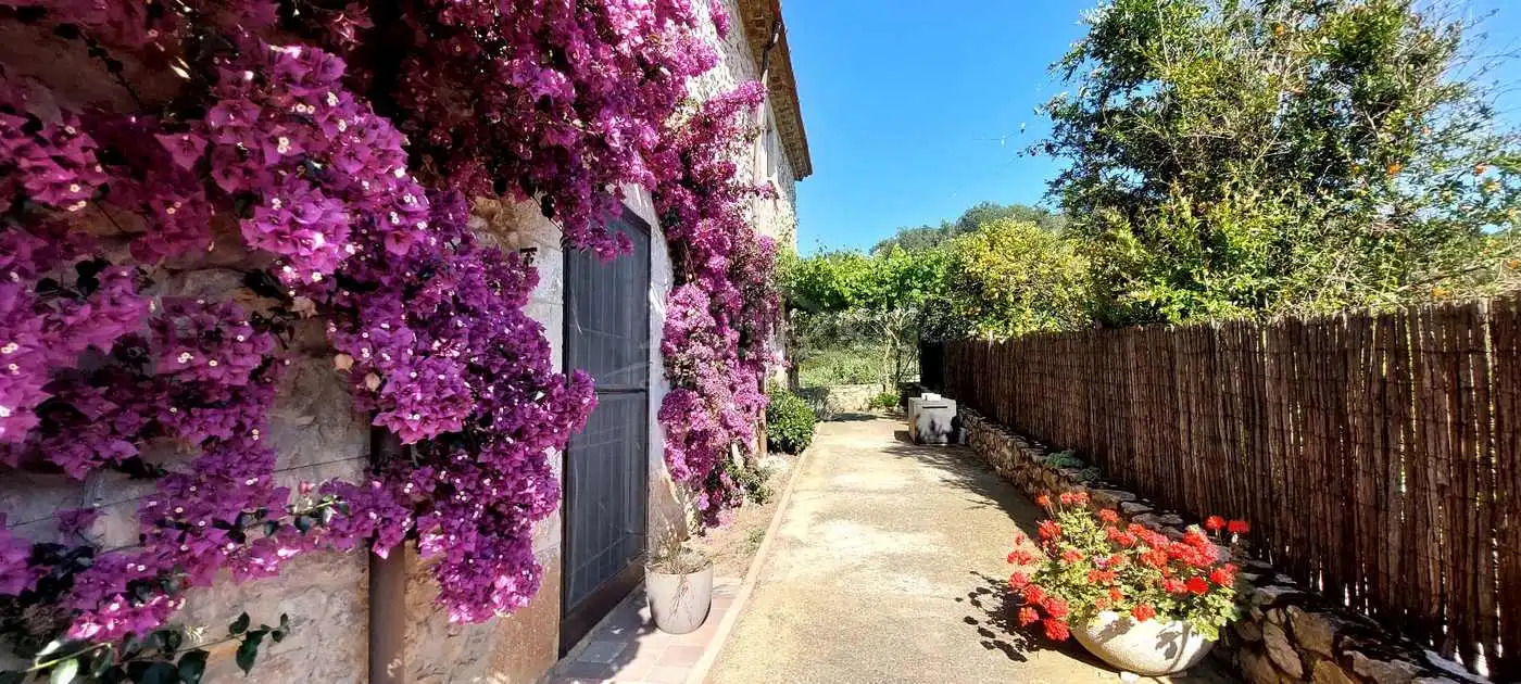 Finca rústica en venda a Residencial Begur - Esclanyà