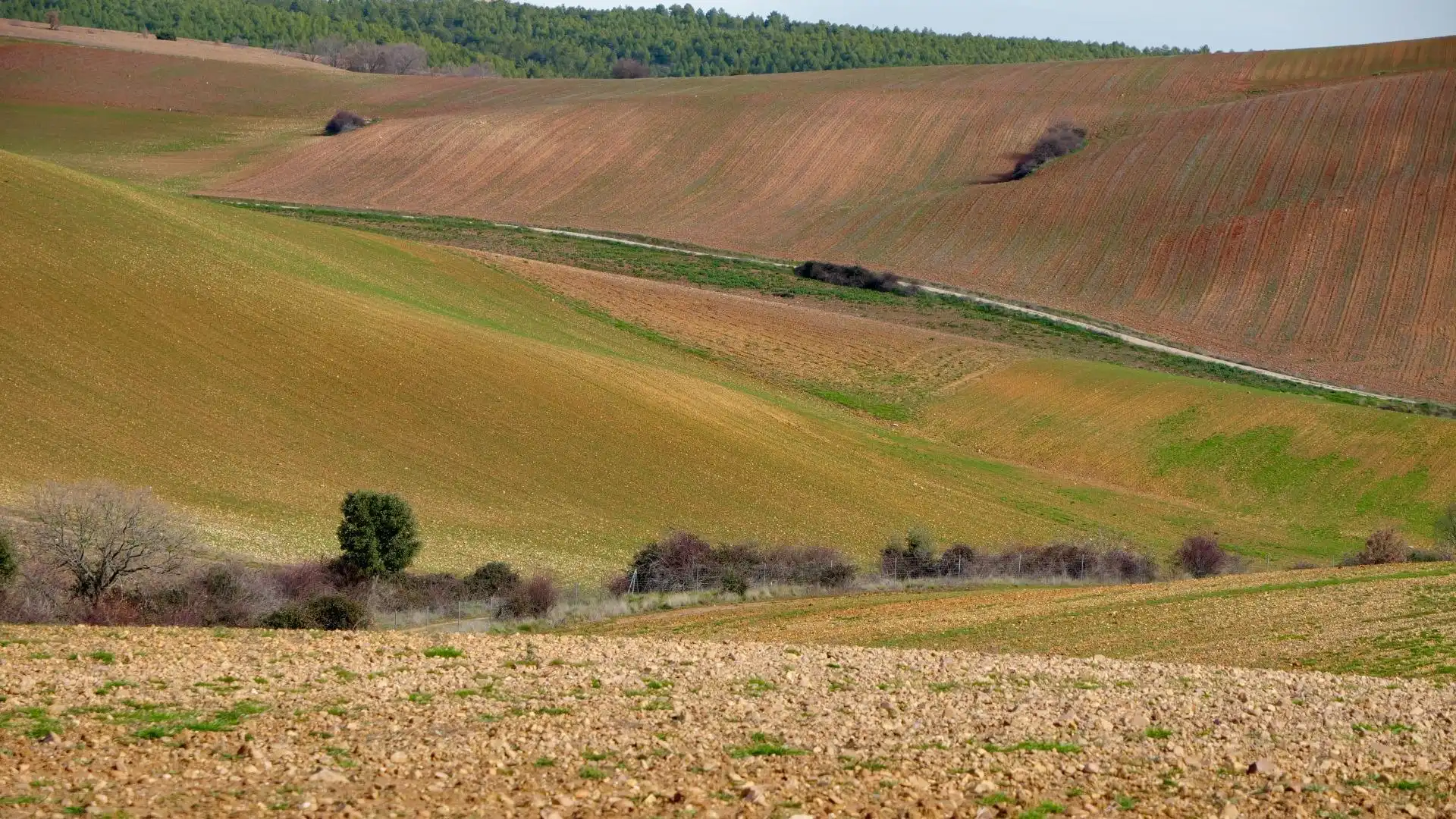 Land for sale in Arbancón