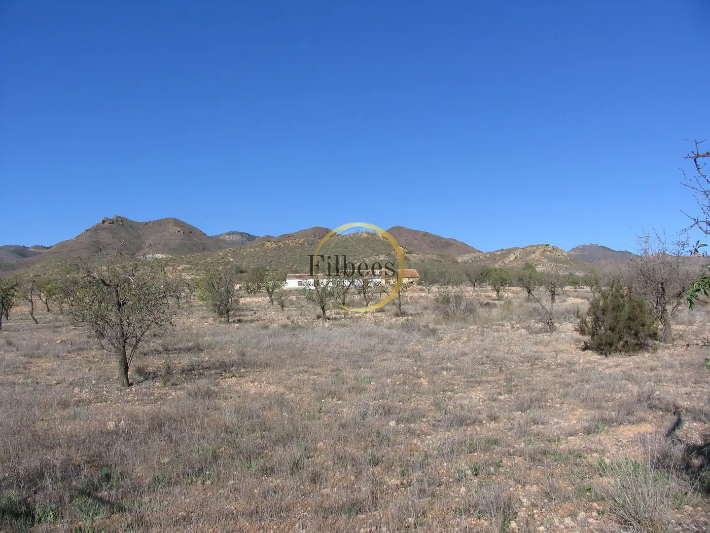 Country homes for sale in Morata