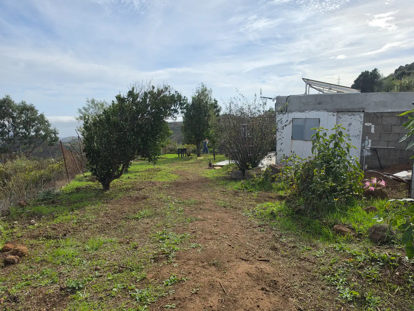 Finca rústica en venta en El Palmar