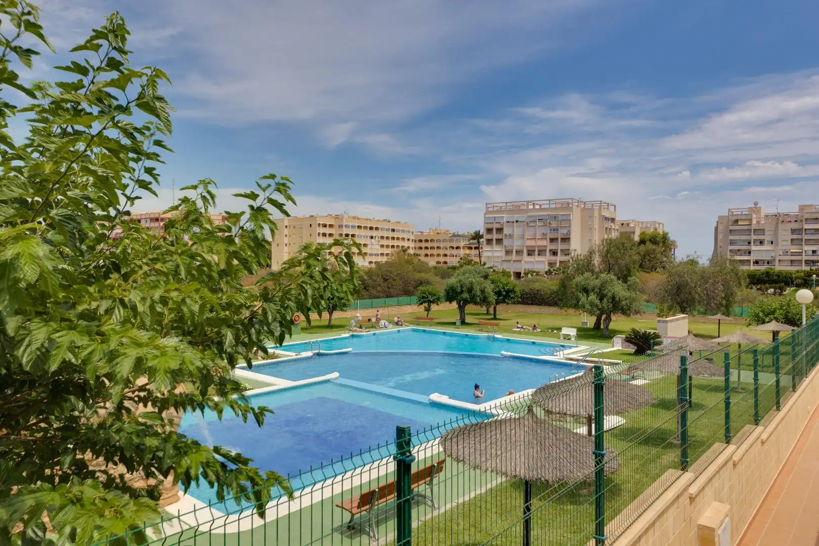 Piscina de Casa o chalet en venta en Torrevieja con Terraza