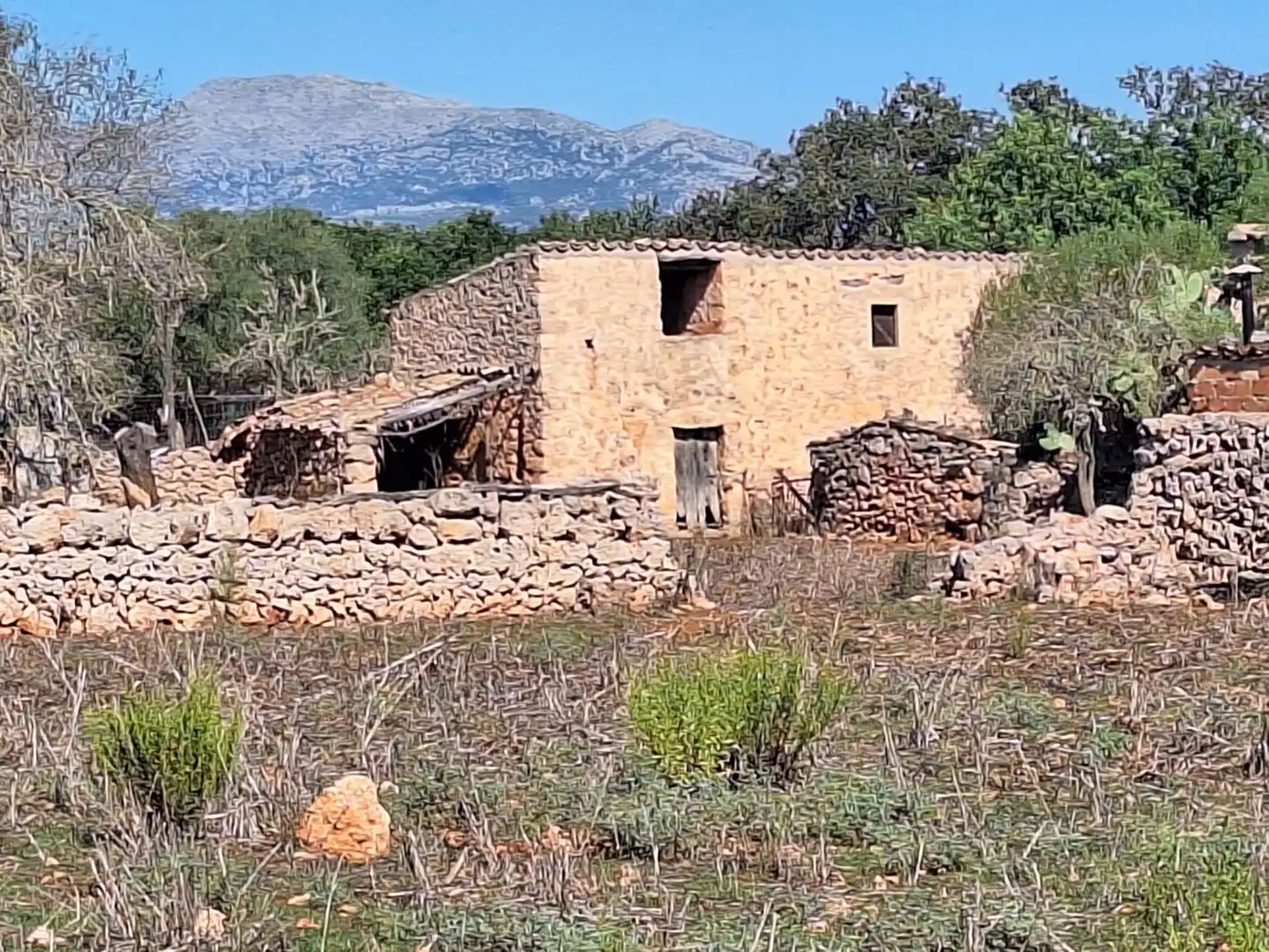 Country homes for sale in Costitx