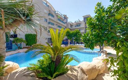 Vista exterior de Apartament en venda en Orihuela amb Aire condicionat, Piscina i Moblat